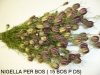 droogbloemen-008