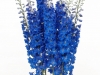 Delphinium Triton Blue