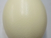 eieren-in-div-soorten-001